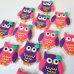 Eight pink and purple owl shape decorated Cookies