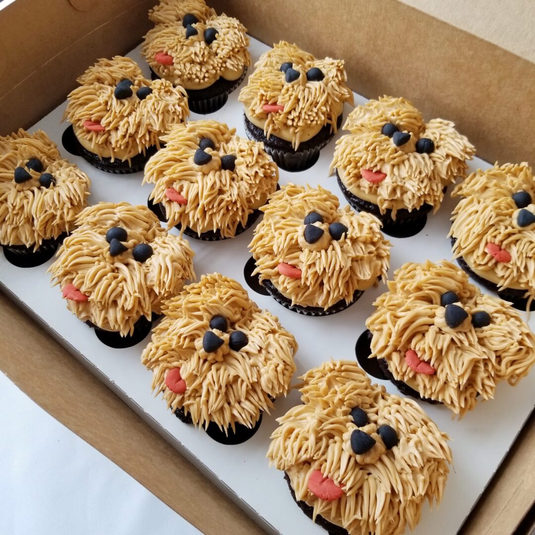 Twelve animal face topping decorated Cupcakes