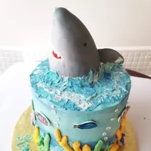 Dolphin mouth Boy Birthday Cake