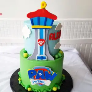 Patrol PAW Boy Birthday Cake