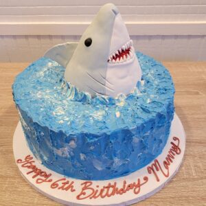 Dolphin face 6th Boy Birthday Cake